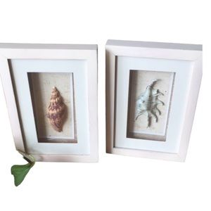 Fancy Th@t Gift & Decor Shell Shadow Box